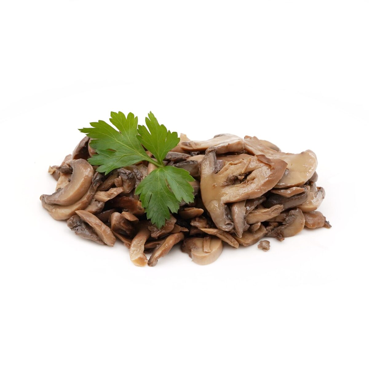Funghi champignon