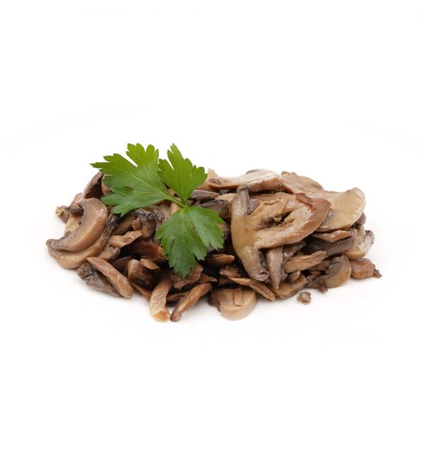 Funghi champignon